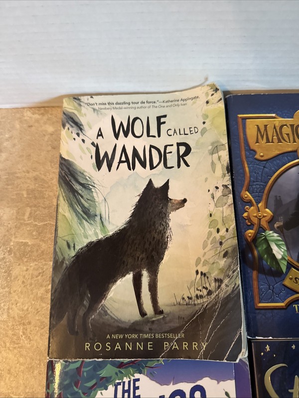 Teen Book Lot Of 5 Magic Thief, Star Friends, Katana Ballerina, Wolf Girl gallery