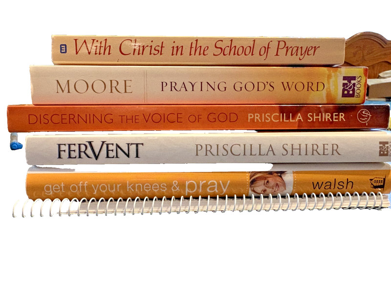 Prayer & Discernment – LOT of 6 Books (Moore, Shirer, Murray, Walsh, Hunt, King)