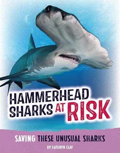 Hammerhead Sharks at Risk: Saving These – Hardcover, by Clay Kathryn – Very Good