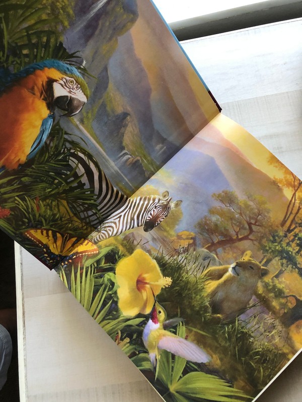 Nearly New 2011 Hardcover "The Story Bible—130 Stories of God's Love" gallery