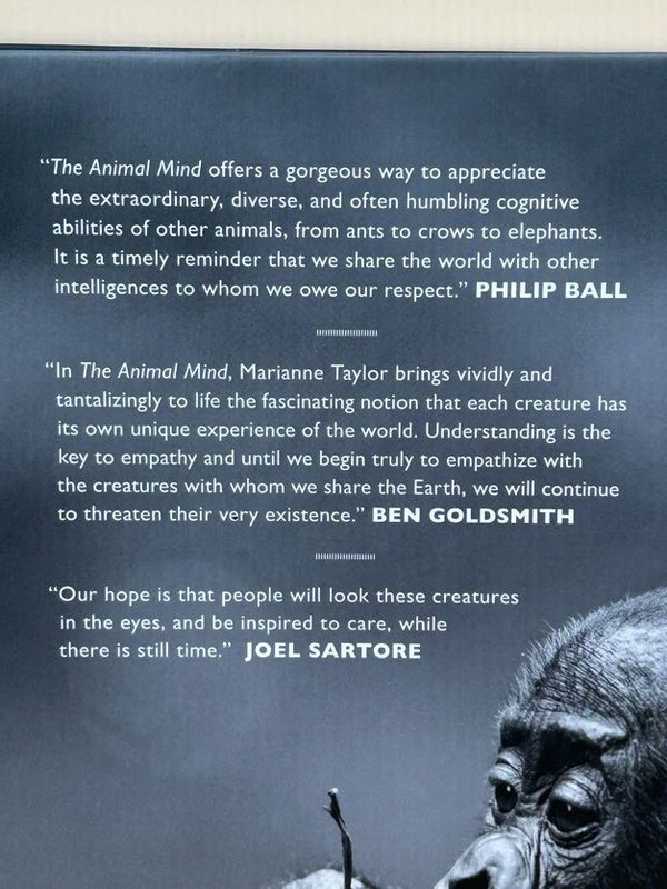 Animal Mind : Profiles of Intelligence & Emotion, Marianne Taylor 2024 Hardcover gallery