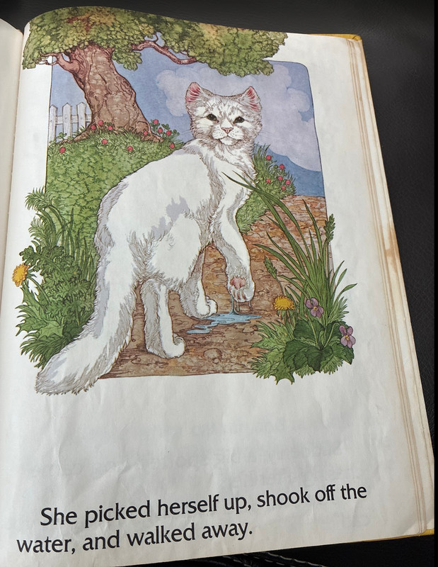 Scat! Scat! by Sally Francis (1977, Hardcover) 1st Edition Vintage gallery