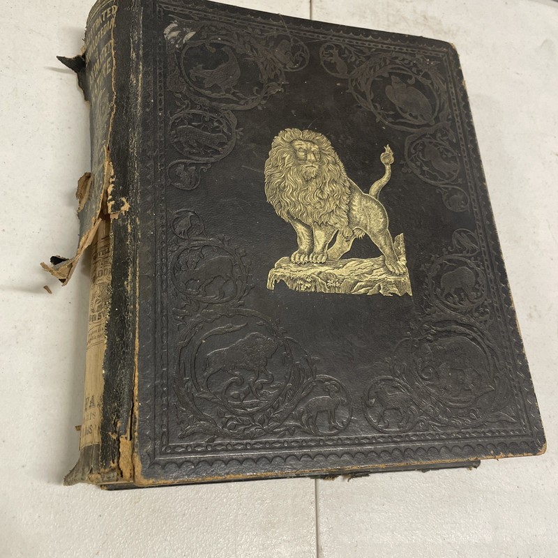 RARE 1855 JOHN FROST BOOK, «GRAND ILLUSTRATED ENCYCLOPEDIA OF ANIMATED NATURE»