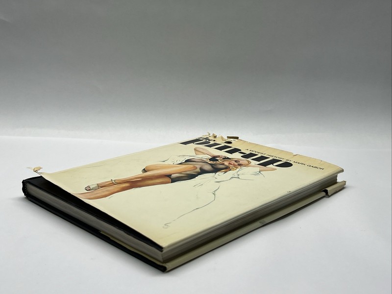 1972 THE PIN-UP A Modest History by Mark Gabor Book gallery