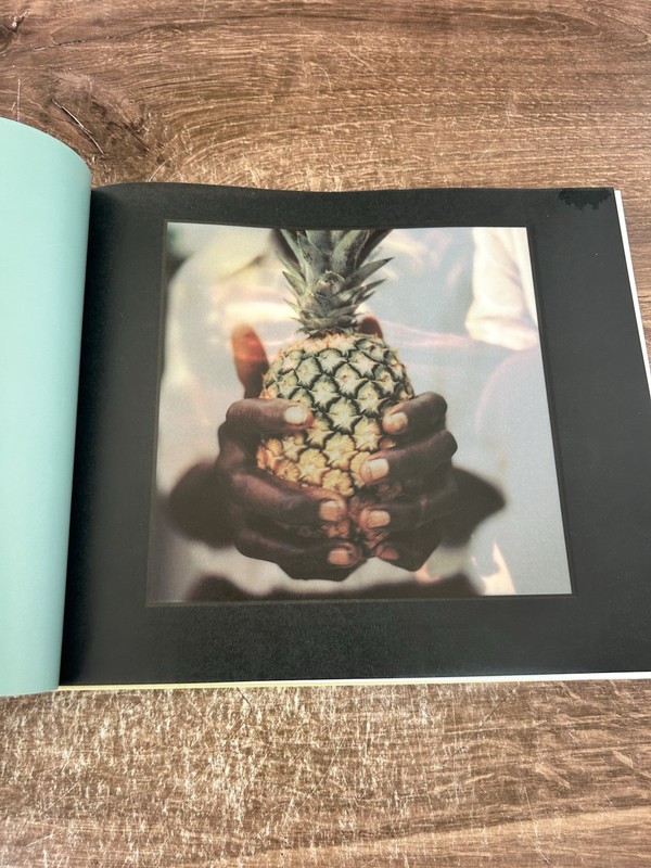 ISLAND LIFE: INSPIRATIONAL INTERIORS By India Hicks - Hardcover **Excellent** gallery