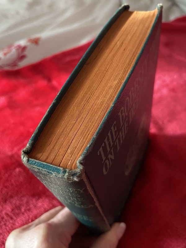 1918 HC copy of The Bobbsey Twins On The Deep Blue Sea by Laura Lee Hope gallery