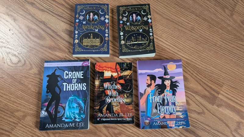 From Fear to Eternity + 4 more books by Amanda M. Lee Paperback VERY GOOD