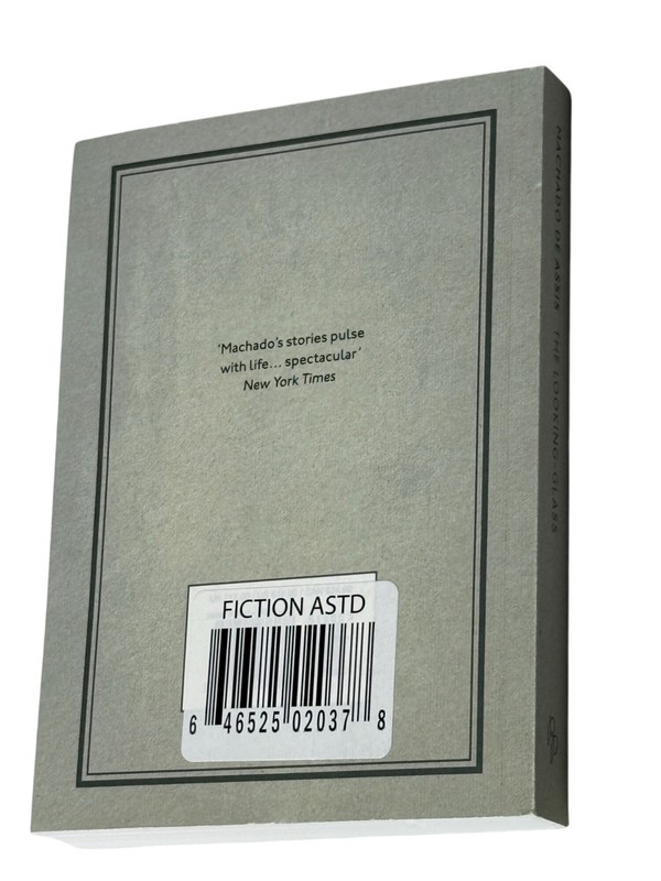 The Looking Glass Machado de Assis 2022 Pushkin Press Stories Paperback Book gallery
