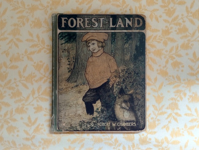 1905 1st Edition FOREST-LAND By ROBERT W. CHAMBERS Illustrated By EMILY KNIPE
