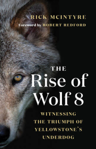 The Rise of Wolf 8: Witnessing the Triumph of Yellowstone’s Underdog (The – GOOD