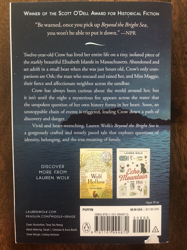 Beyond the Bright Sea by Lauren Wolk (2018, Digest Paperback) gallery