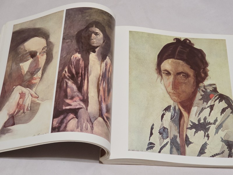 The Arts of David Levine 1978 Fist Printing Art Book Coffee table 200+ Illustrat gallery