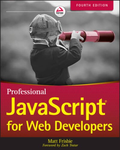 Professional JavaScript for Web Developers – Paperback – VERY GOOD