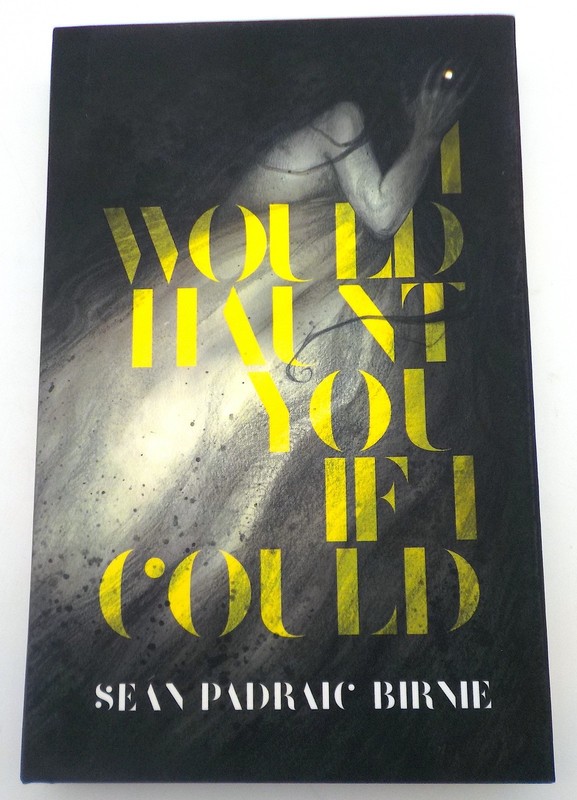I WOULD HAUNT YOU IF I COULD Sean Padraic Birnie Lettered Limited HC Undertow