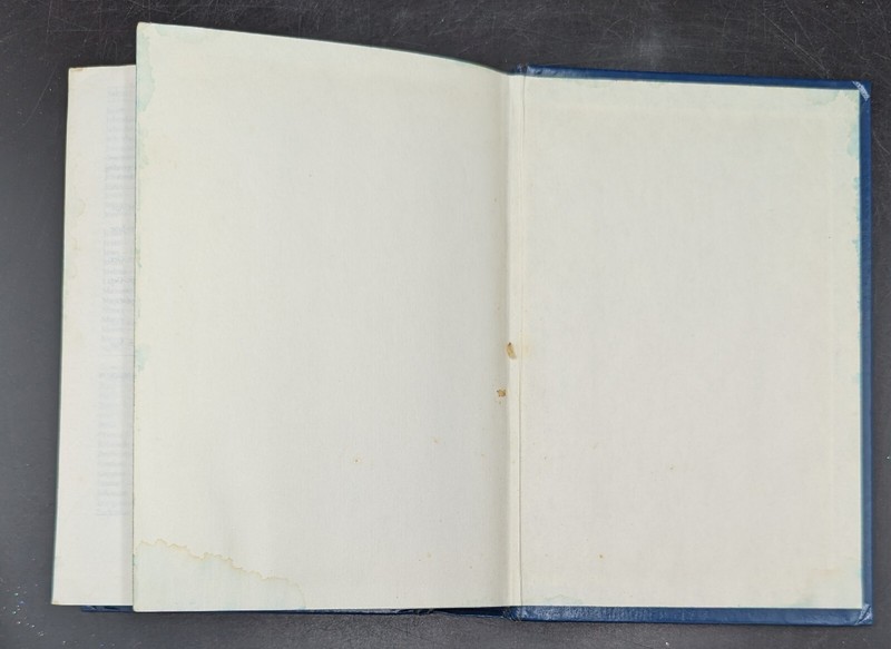 Holy Bible NRSV New Revised Standard Version-1989 Thomas Nelson Blue Cover gallery