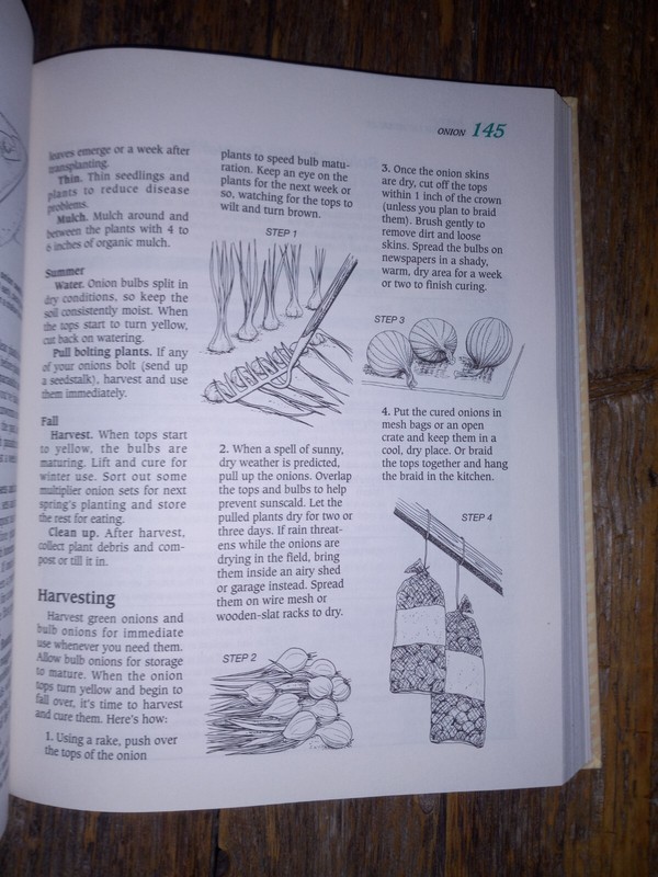 New Vintage Rodale's Garden Answers: Vegetables Fruits & Herbs All Organic Book gallery