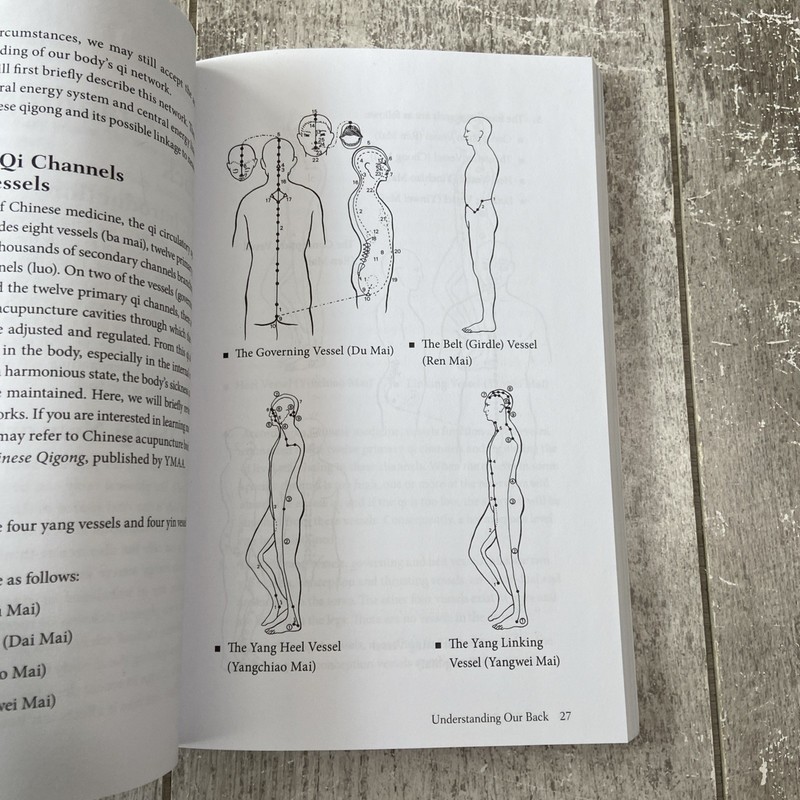 Dr. Jwing-Ming Yang Ph.D. The Pain-Free Back Qigong SC Book 2017 gallery