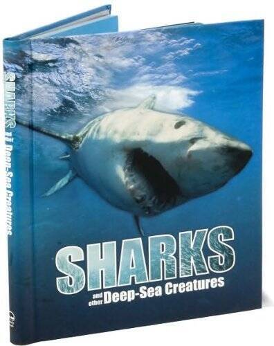 Great Big Book of Sharks and Other Deep Sea Creatures – Hardcover – GOOD