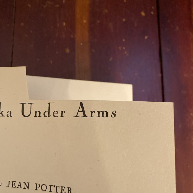 Alaska Under Arms by Jean Potter Endpaper by Richard Edes Harrison 1942 HC gallery