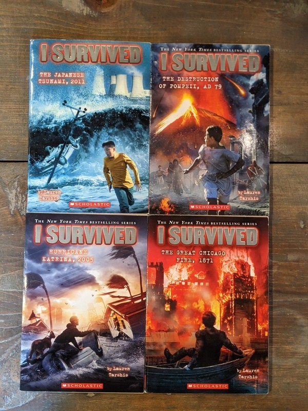 I SURVIVED Books Series LOT OF 11 Early Chapter Ages 7-10 - Lauren Tarshis gallery