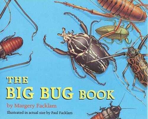 The Big Bug Book – School Library Binding By Facklam, Paul – ACCEPTABLE