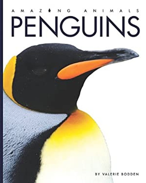 Amazing Animals – Penguins Hardcover Valerie Bodden