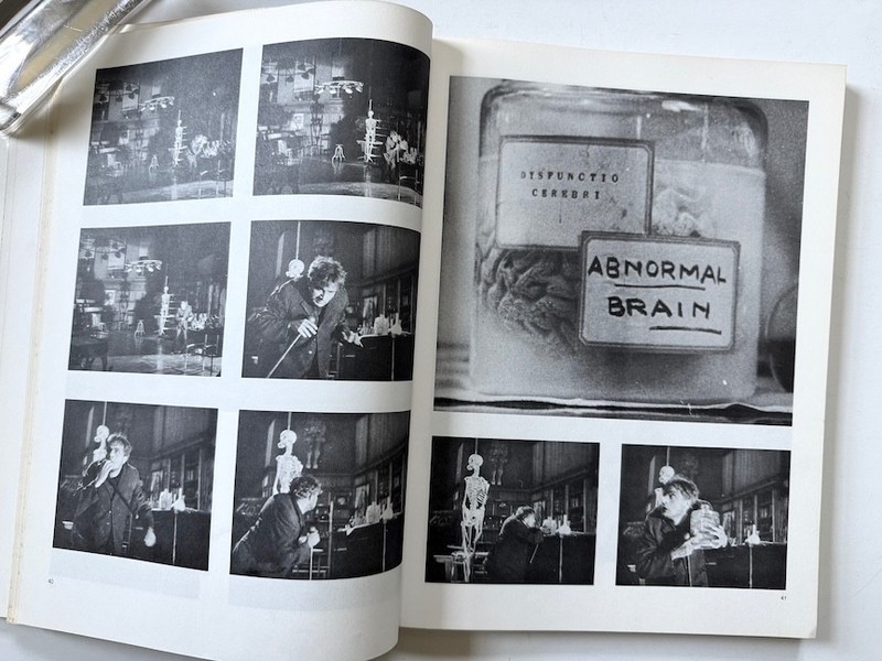 FRANKENSTEIN The Film Classics Library/ First Flare Printing 1975 SB gallery