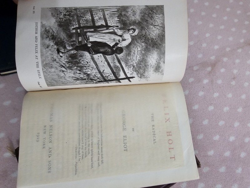 Thomas Nelson & Sons 1919 Leather Illustrated Barnaby Rudge, Ivanhoe, Felix Holt gallery