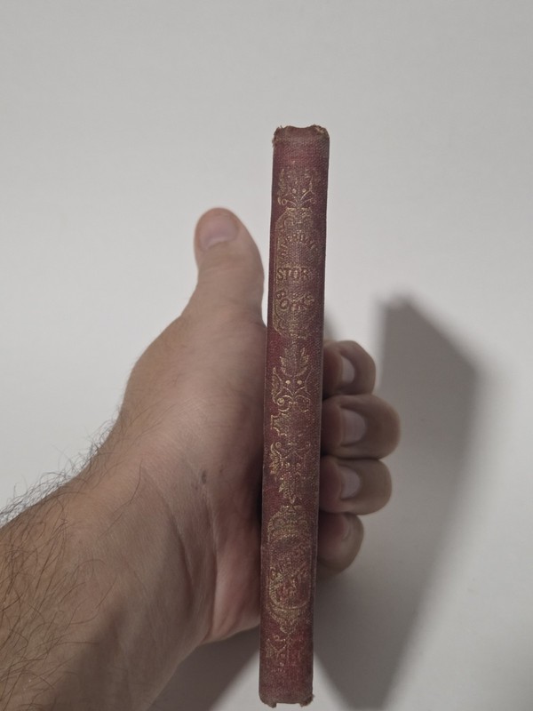 Careless Kate Oliver Optic 1869 Riverdale Story Books Lee & Shepard Antique Kid gallery