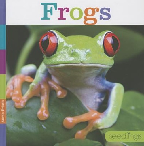 Frogs Hardcover Aaron Frisch