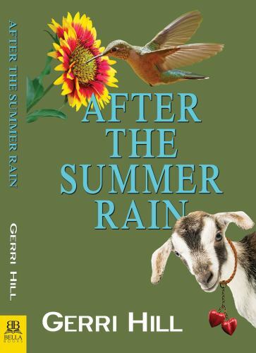 After the Summer Rain, Paperback by Hill, Gerri, Like New Used, Free shipping…