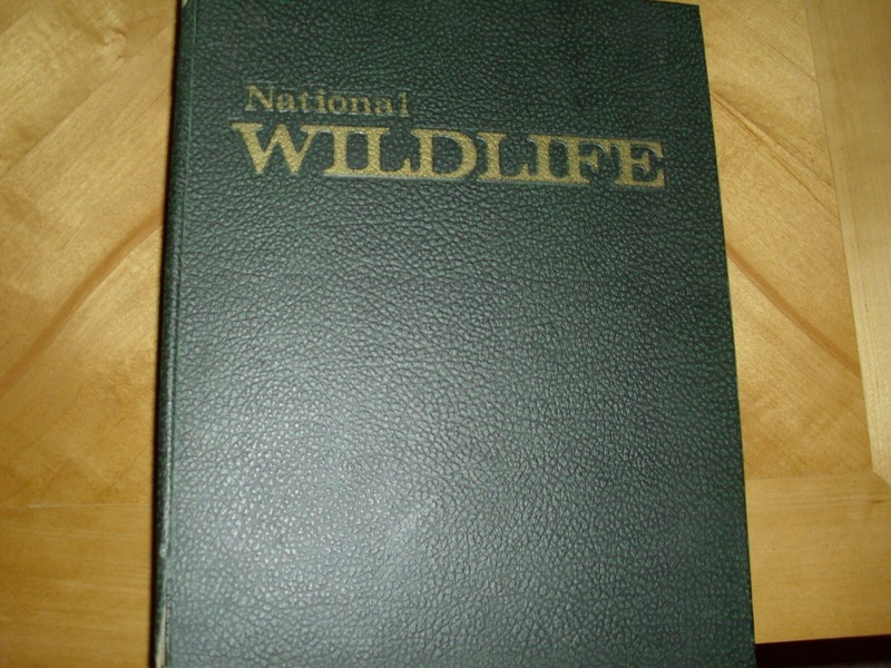 Lot of 11 Vintage 1974 -75 National Wildlife Magazines in Binder w/ Spec. Issue