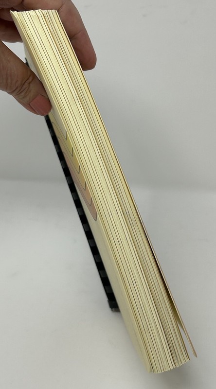 Cookbook Amber Waves Nebraska Junior League of Omaha 332 pages recipes 1983 VTG gallery