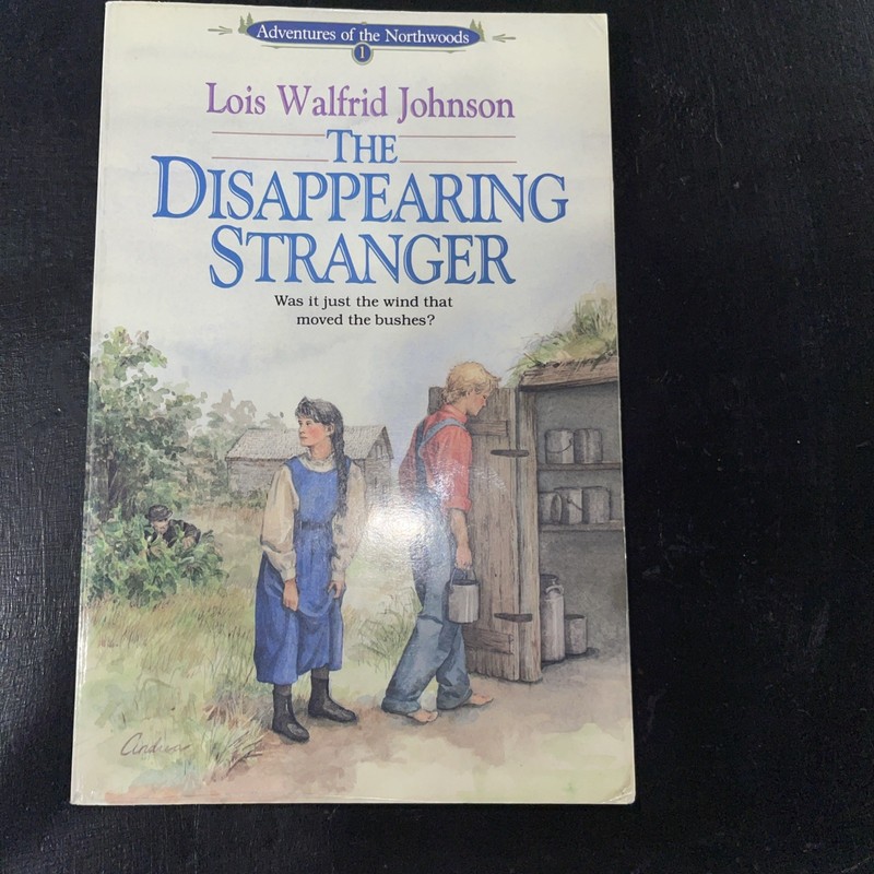 The Disappearing Stranger by Johnson, Lois Walfrid