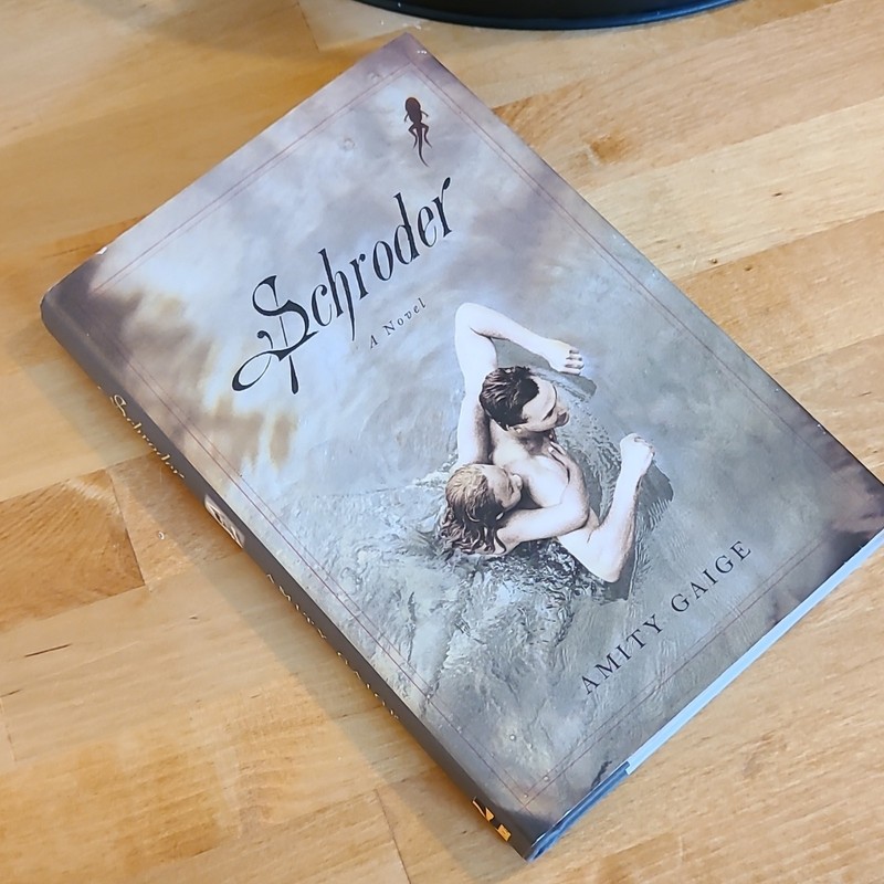 Amity Gaige Schroder: A Novel Hardcover 2013 Grand Central English DJ gallery