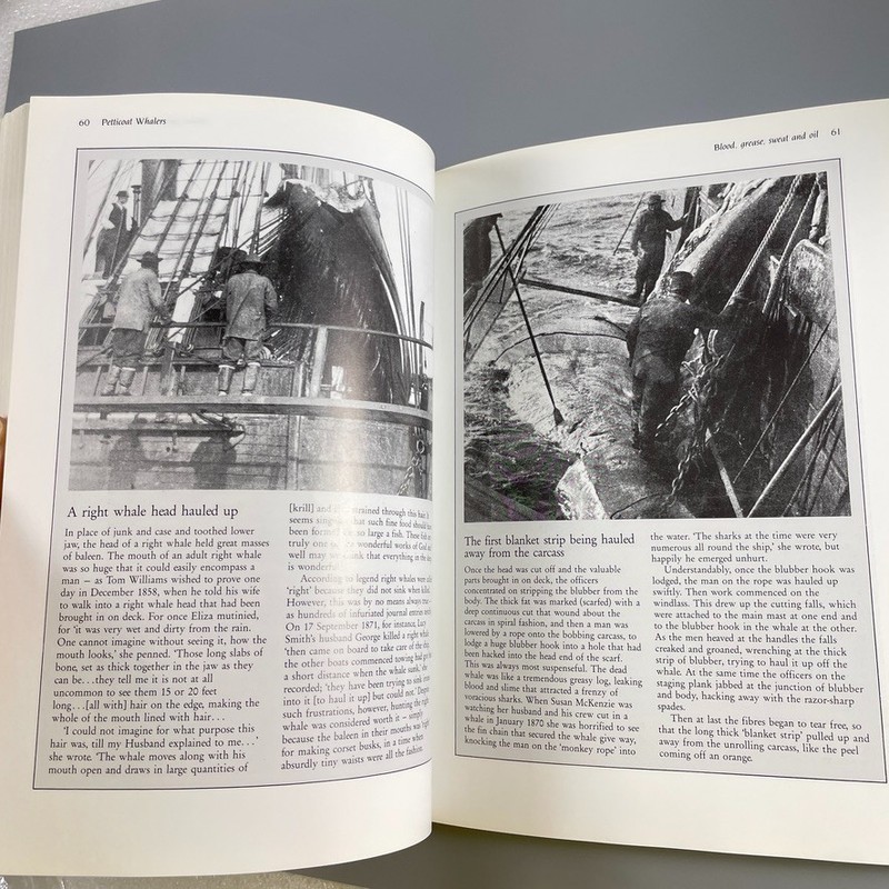 Petticoat Whalers Whaling Wives at Sea by Joan Druett - UPNE 2001 - TPB gallery