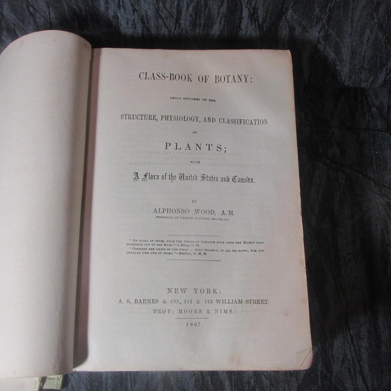 Book of Botany by Alphonso Wood, 1867, Hardcover, 832 Pages gallery
