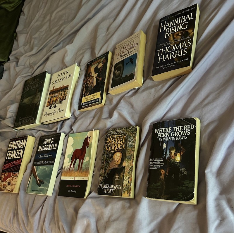 American Fiction Lot of Classics 10 books: Harper Lee, John Steinbeck, and more gallery
