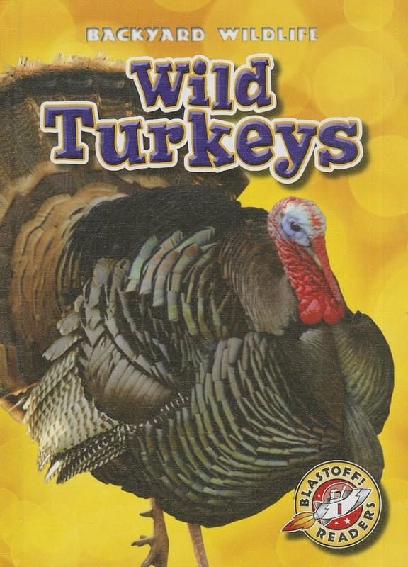 Wild Turkeys (Blastoff Readers. Level 1) (Backyard Wildlife) – library Schue…