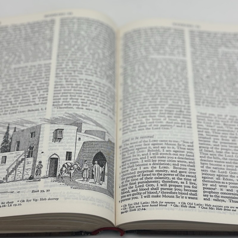Jerusalem KJV Holy Bible Old And New Testament with Olive Wood Cover Collins gallery