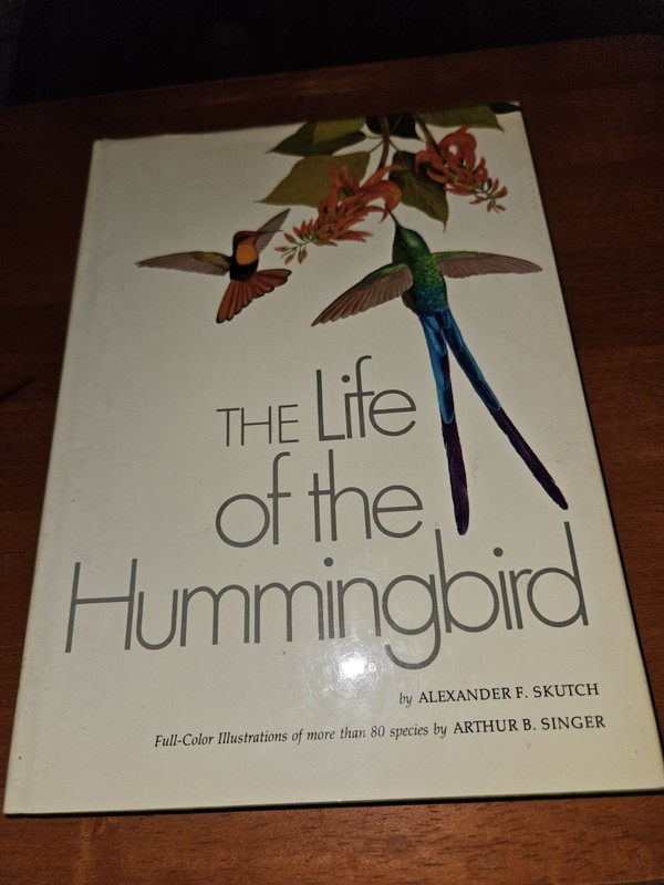 Hummingbirds A Life Size Guide To Every Species Michael Folden Hardback