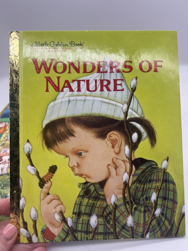 Lot of 7 Little Golden Books Newer 1990s-2020s Luca Christmas Nature Pooh Lion gallery
