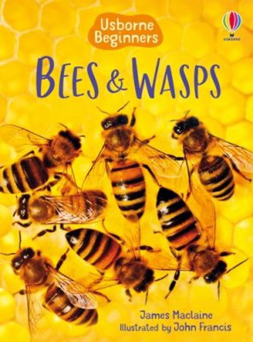 Bees and Wasps Beginners Hardcover James Maclaine