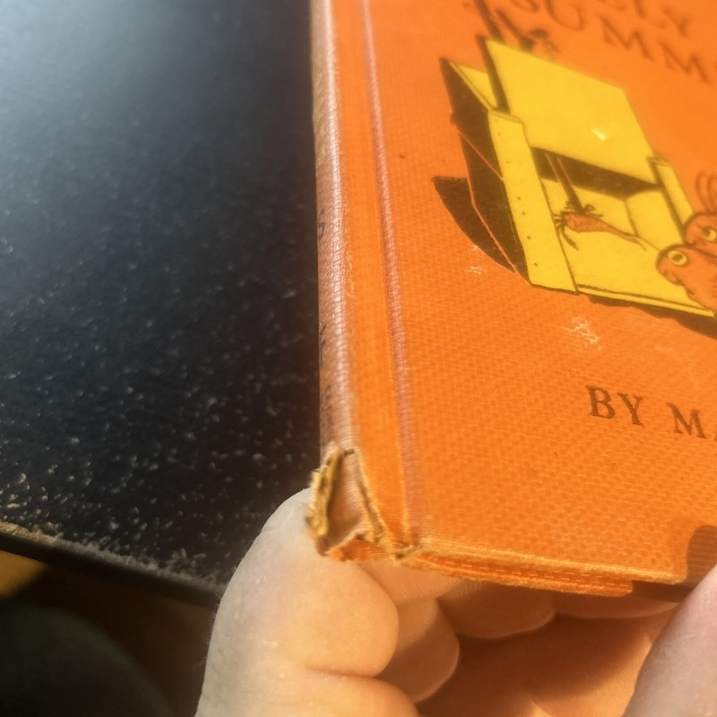 THE LOVELY SUMMER BY MARC SIMONT 1952 HARDCOVER gallery