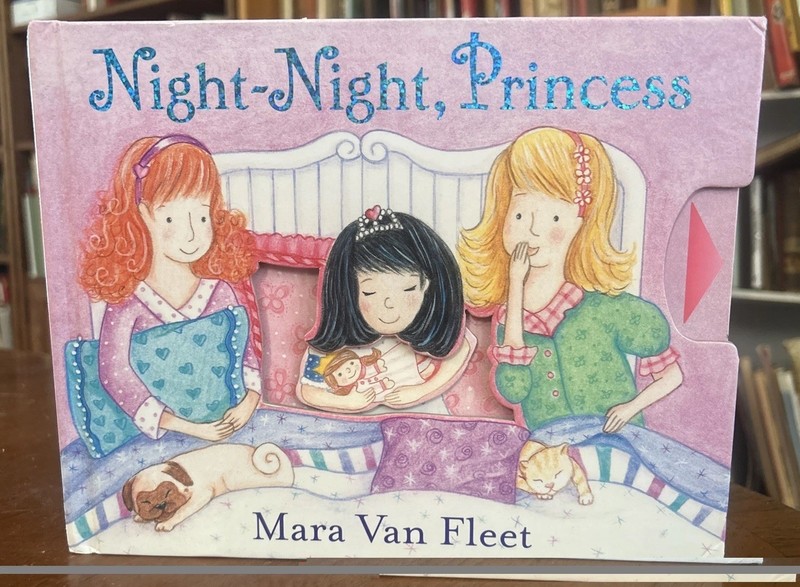 Night-Night, Princess by Mara Van Fleet (2014, Novelty Book)