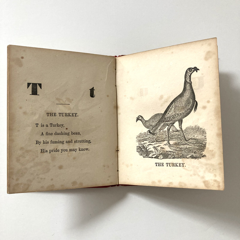 RARE! The Illustrated Alphabet of Birds, circa 1853, Crosby, Nichols, & Co. gallery