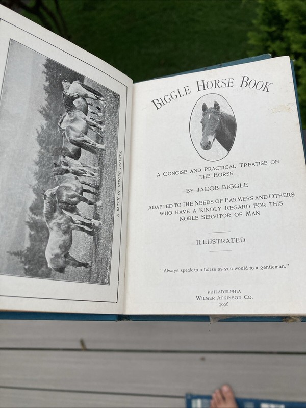 VTG Lot of 4 Biggle Farm Books Horse 1906 +Berry 1911 + Orchard 1908 & Garden gallery