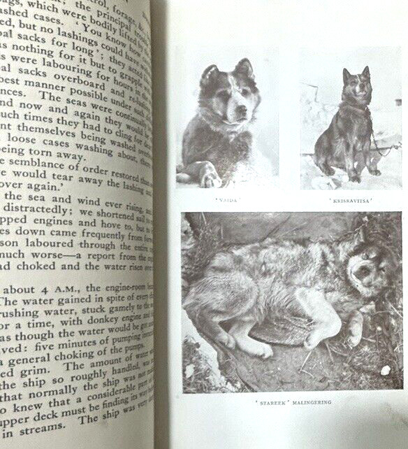 Scott Robert F. Scott's Last Expedition 2 Vols 1913 Dodd Mead Ex-Library gallery