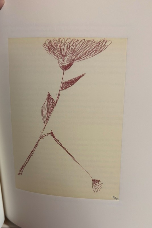 Louise Bourgeois & Arthur Miller "Homely Girl, A Life" (2 volume set) And Box gallery