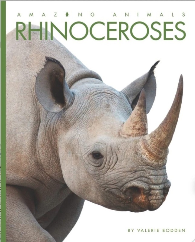 Amazing Animals: Rhinoceroses